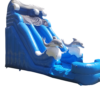 18 ft dual lane Dolphin Express - Image 2